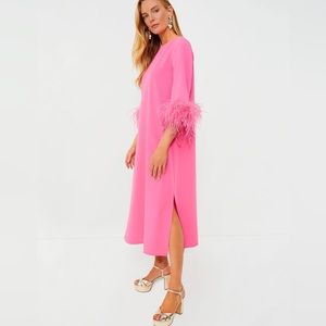 TUCKERNUCK

Hot Pink Feather Jamie Dress